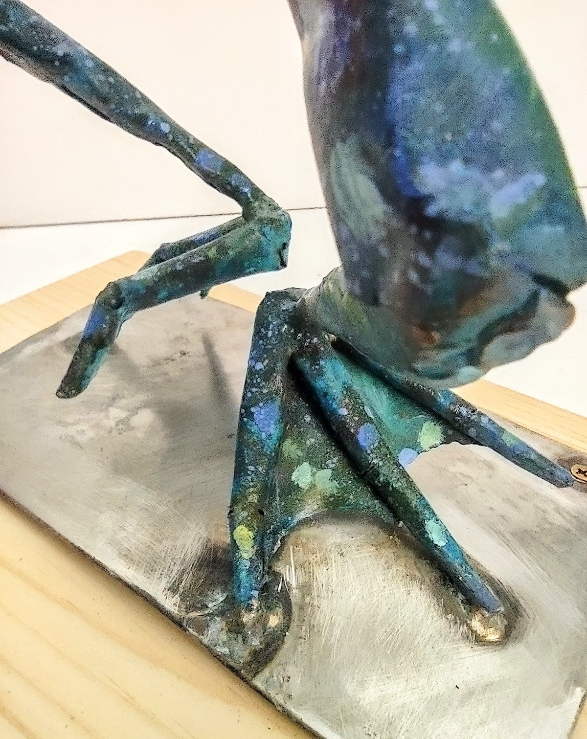 Small Diving frog