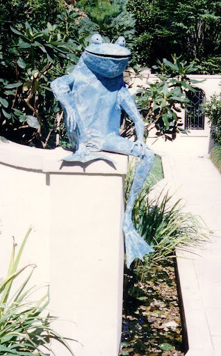 Frog With Leg Dangling