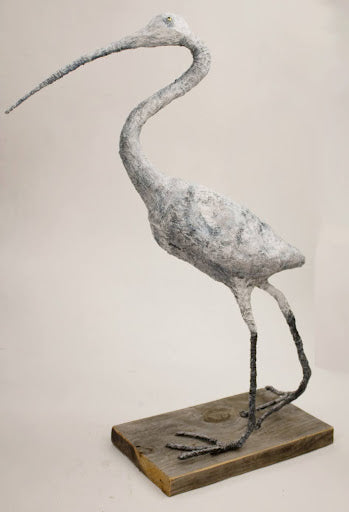 white egret