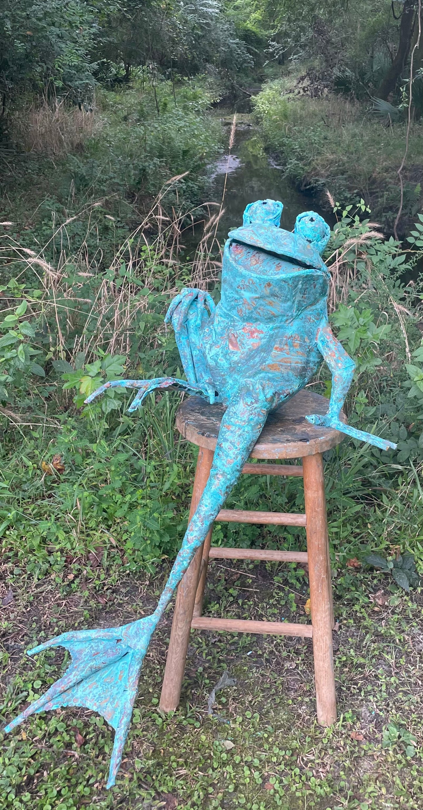 Frog on ledge looking up