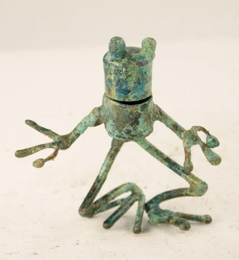 F﻿roglet With Long Head