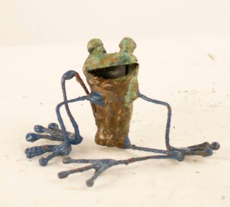 Froglet With Wiry Arms and Legs
